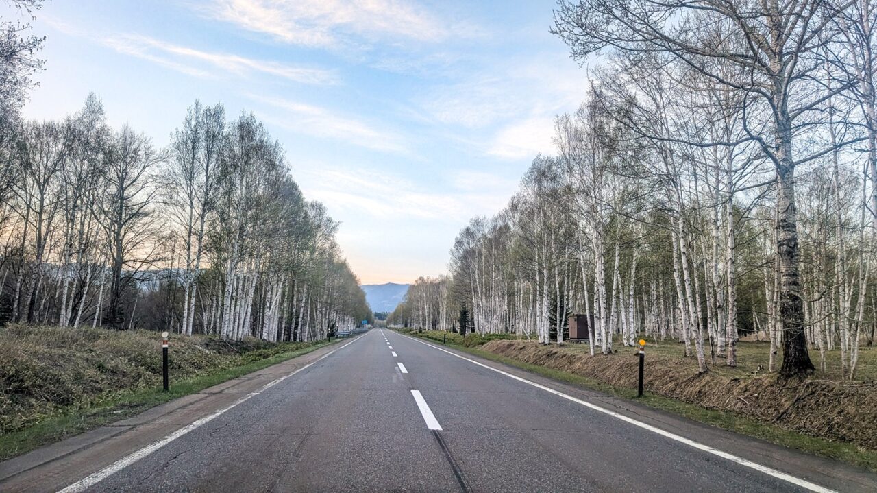 ぬかびら国道