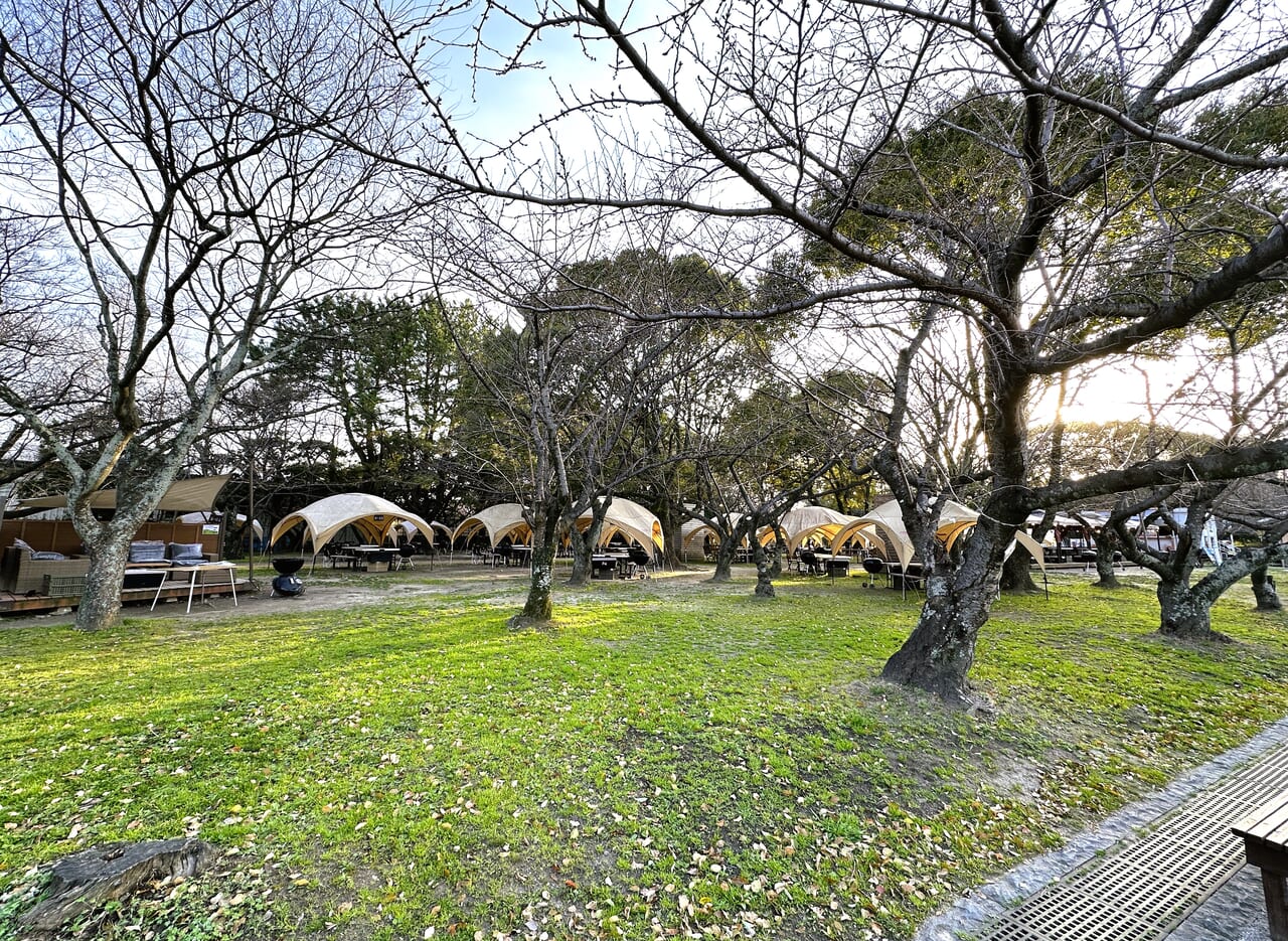２０２４年度の “桜×BBQ”！『 舞鶴公園 BBQ GARDEN 』の予約開始が、３月１日から始まっていますよ