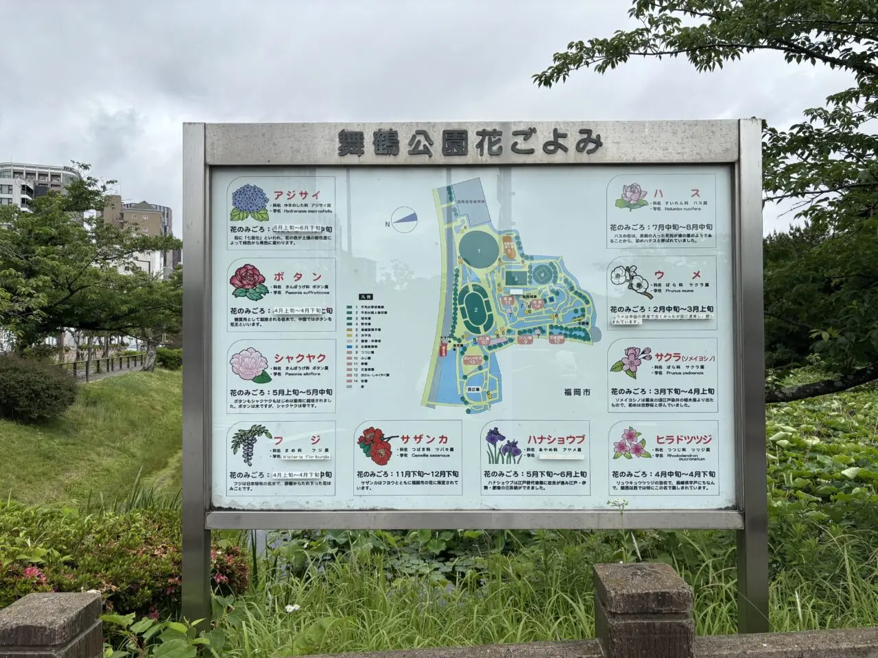 舞鶴公園