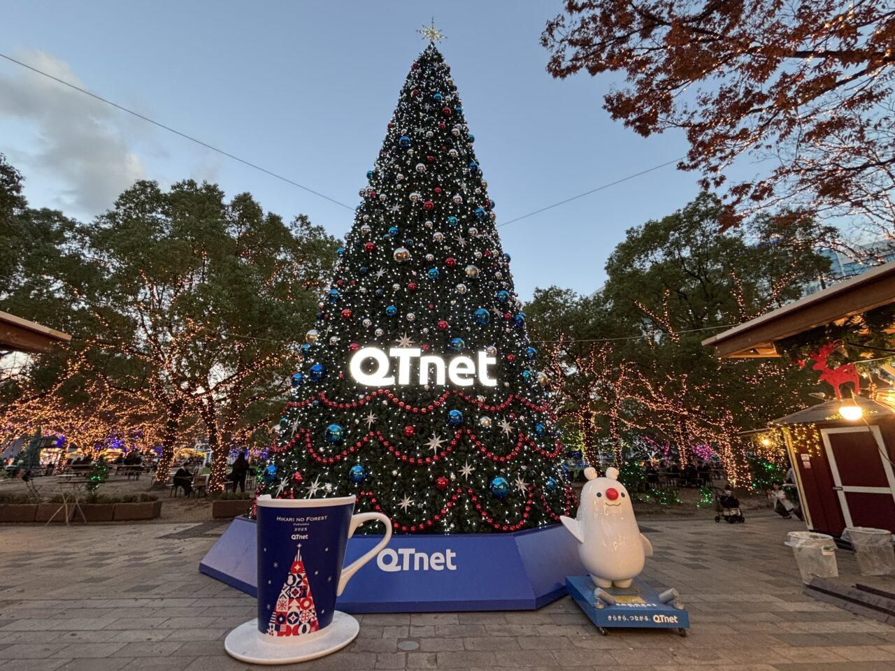 光のフォレスト