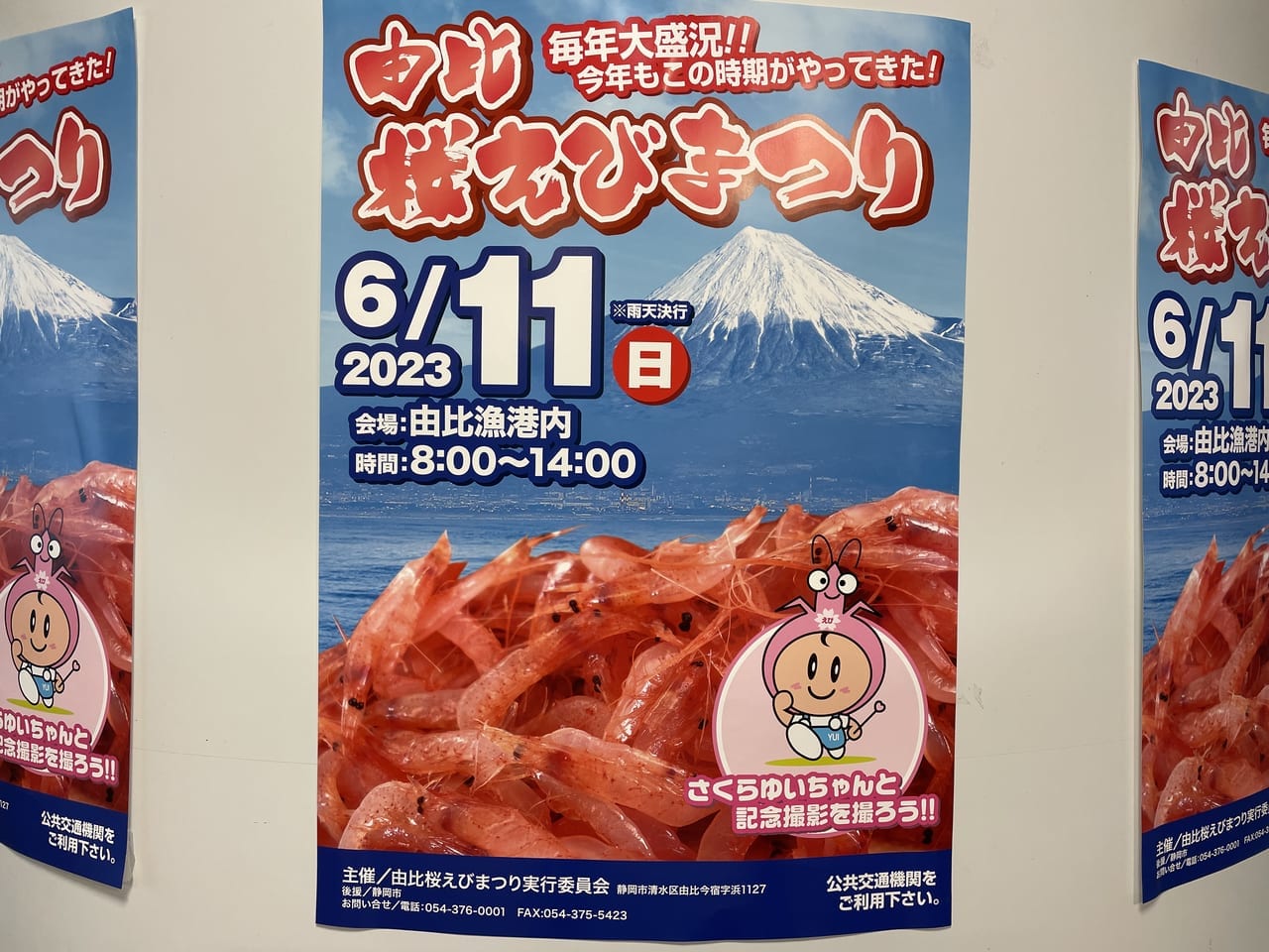 由比桜えびまつりポスター