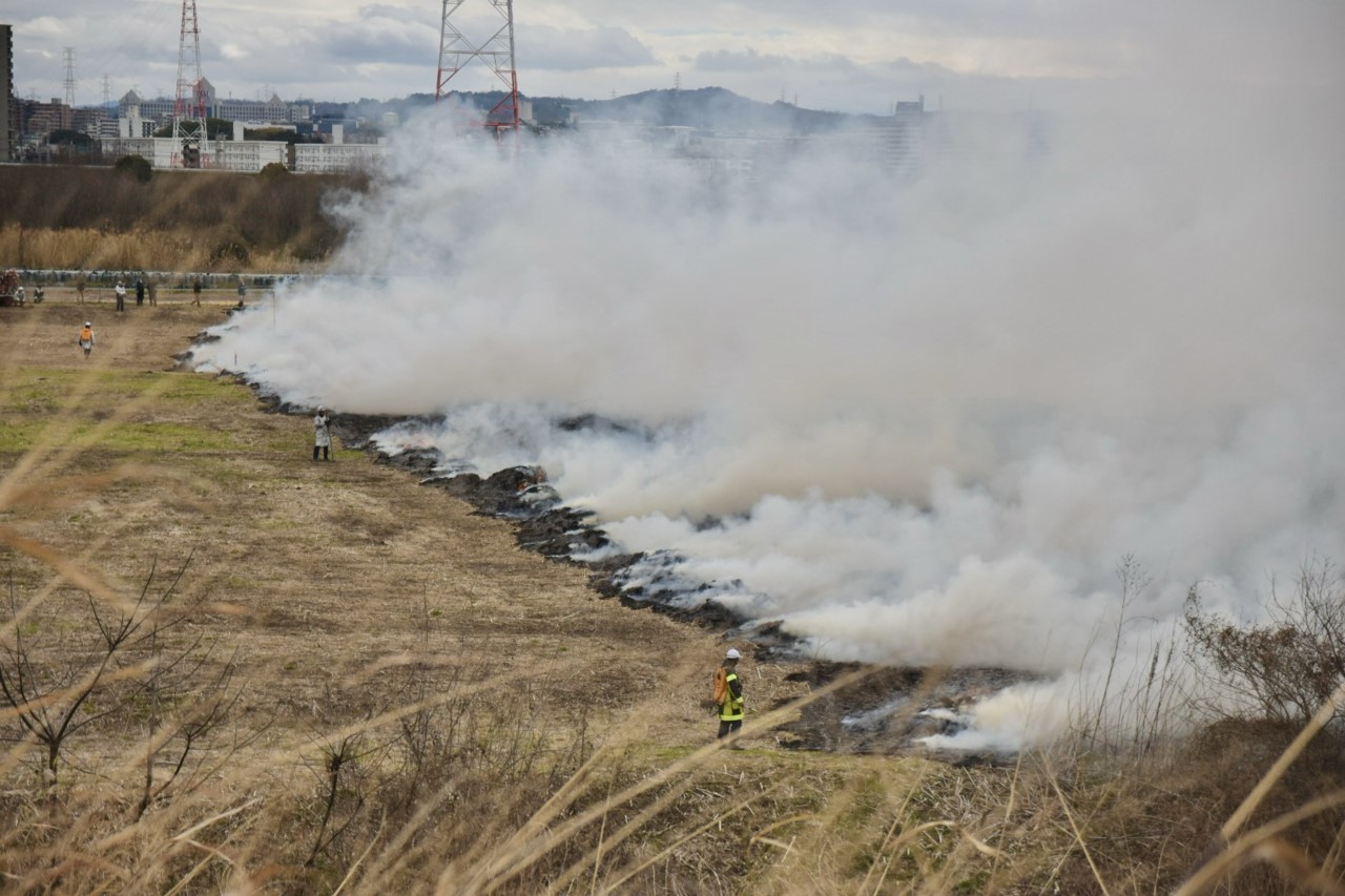 鵜殿のヨシ原焼き