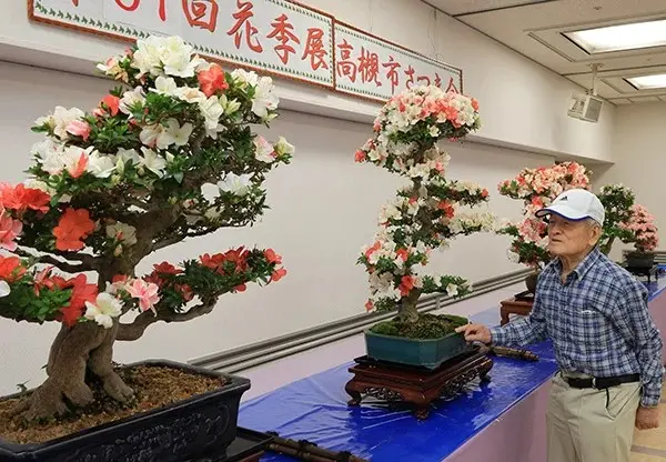 さつき花展示会