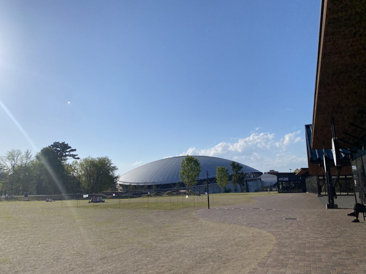 千葉公園芝生広場