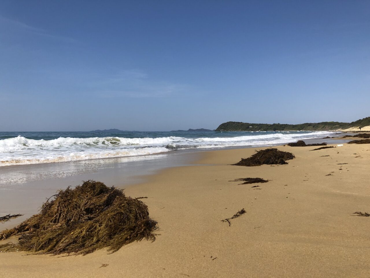 海イメージ