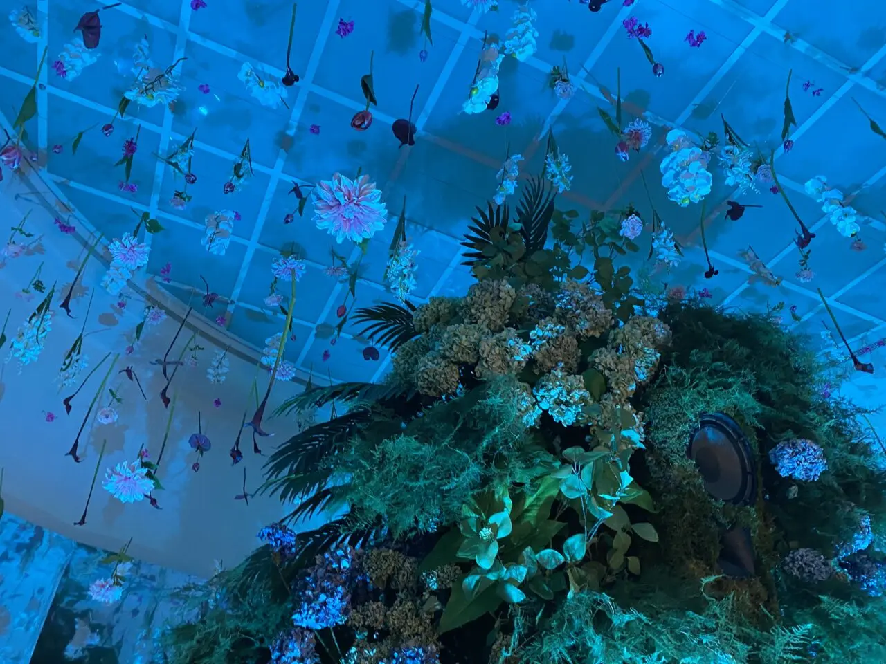 ボタニカミュージアム館内