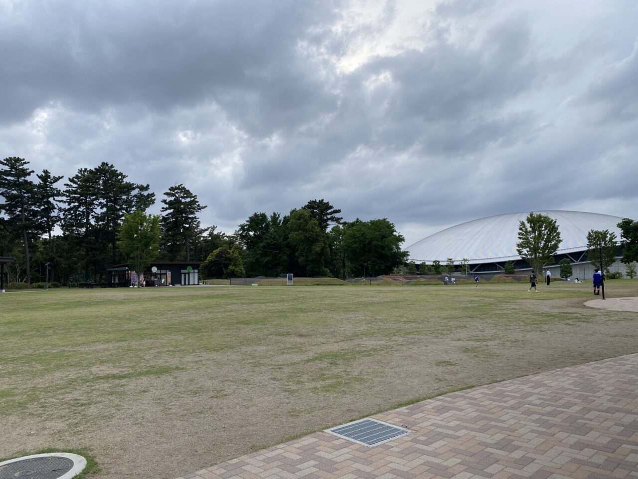 千葉公園芝庭