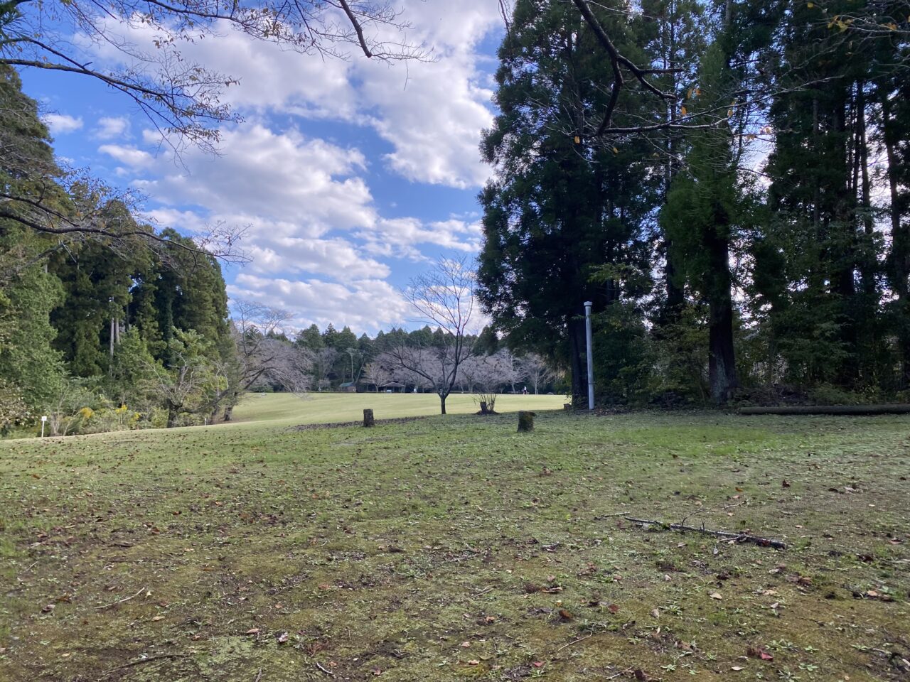 泉自然公園 草原エリア
