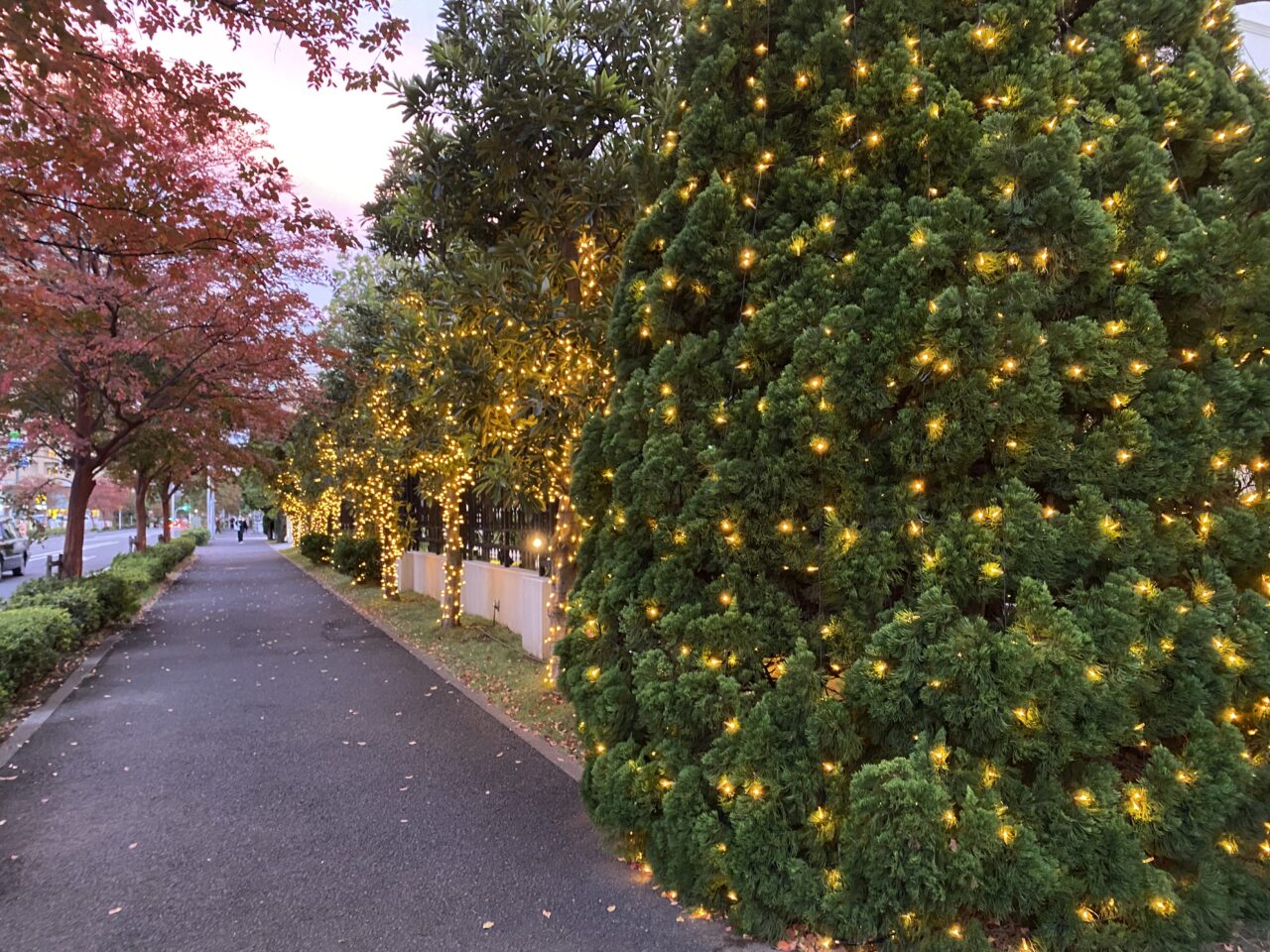 千葉みなと駅前通り