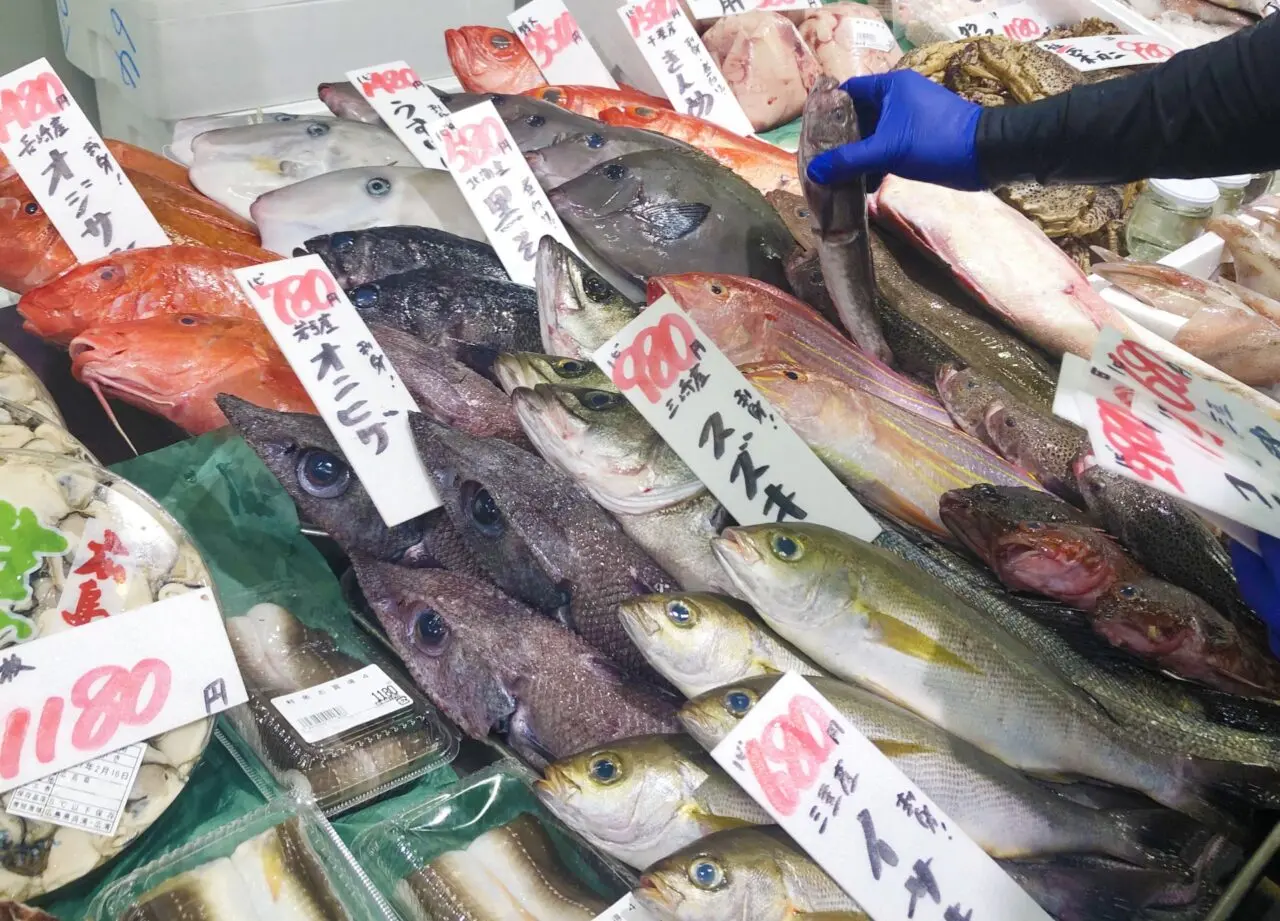 魚市場　イメージ