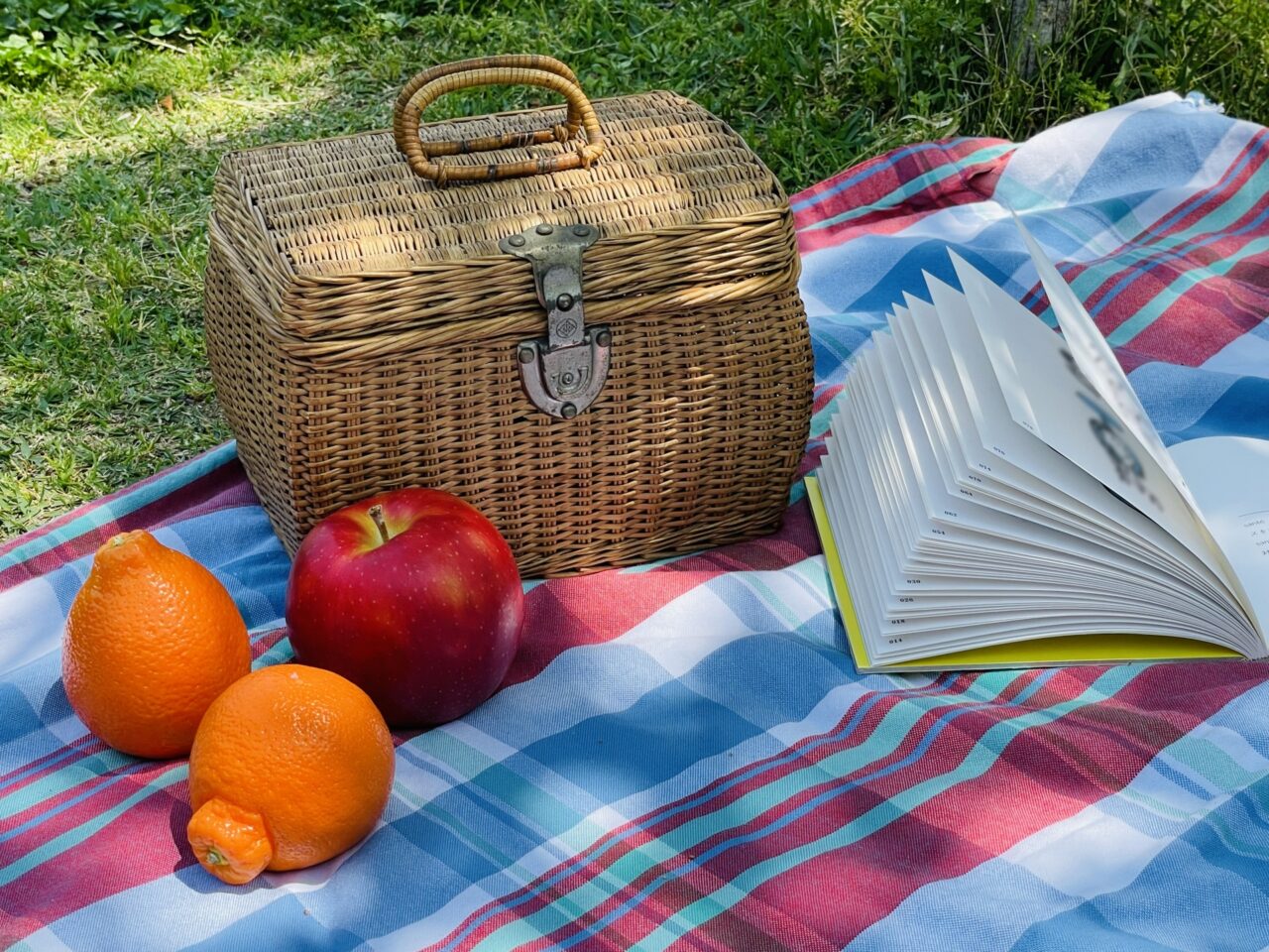 ピクニック　イメージ