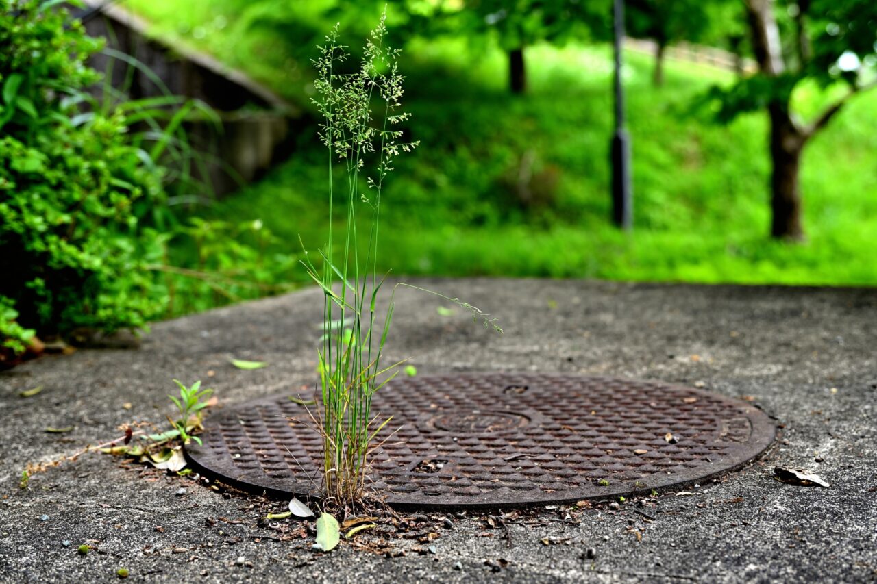 マンホール　イメージ