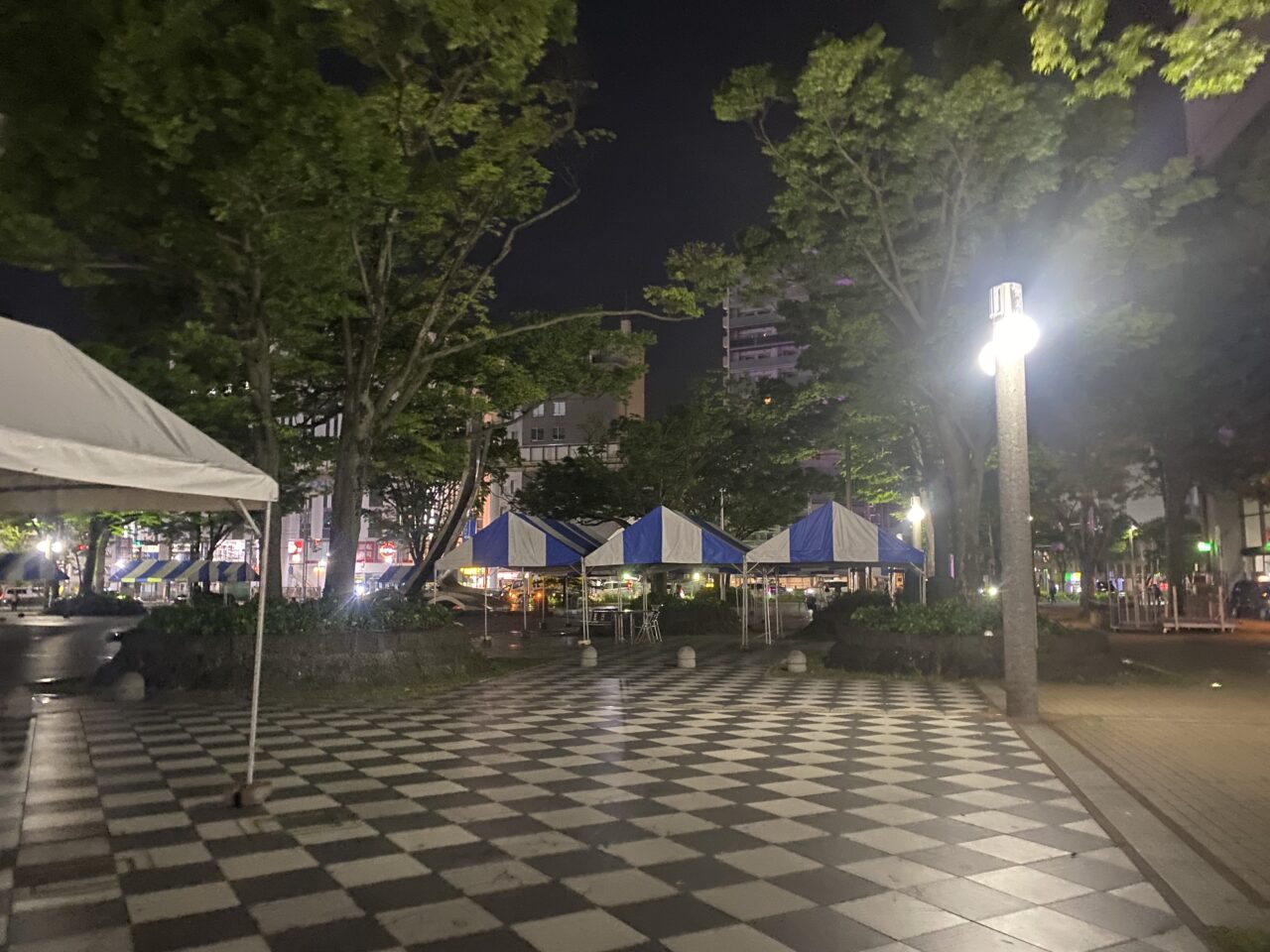 千葉市中央公園　夜