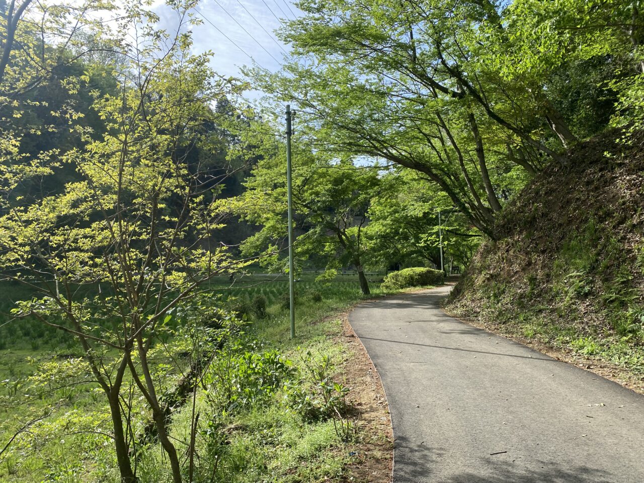泉自然公園
