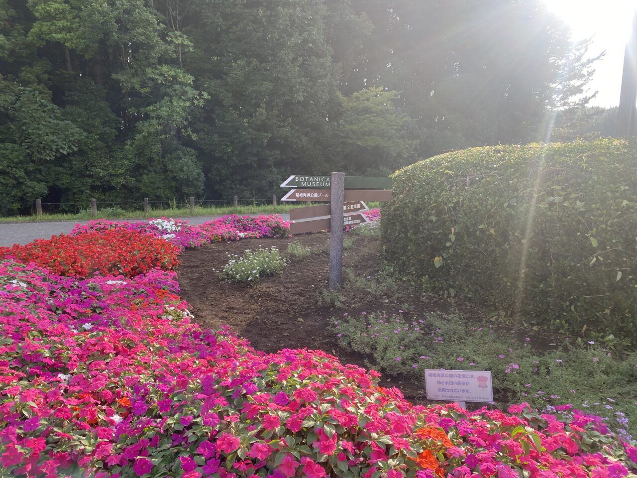 稲毛海浜公園