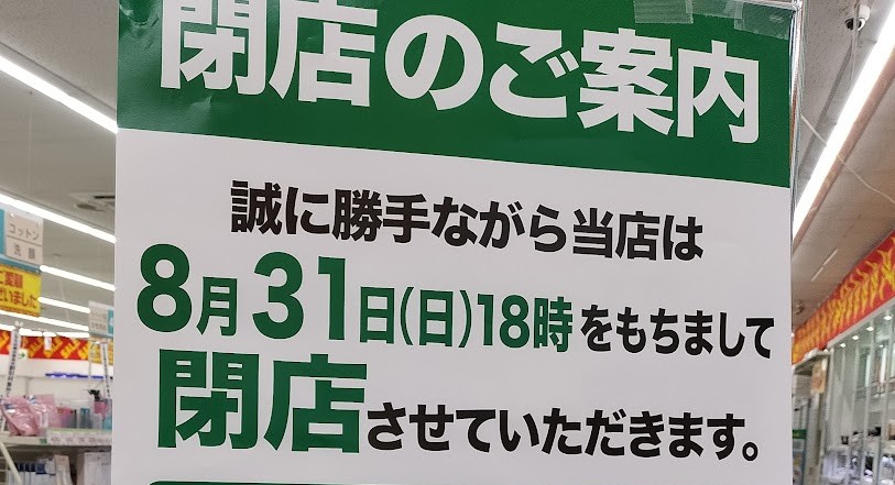 スギ　北浦和4