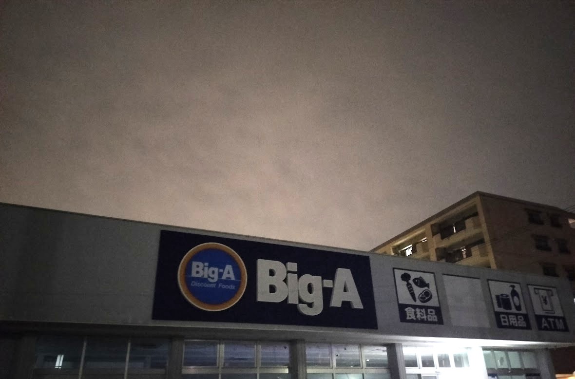 ビッグ・エー　新中里2