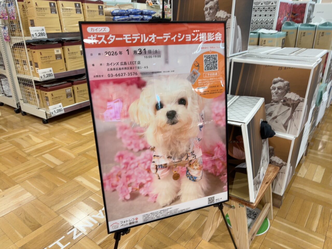 カインズで開催される「わんちゃんポスターモデルオーディション」のイベント告知ポスター