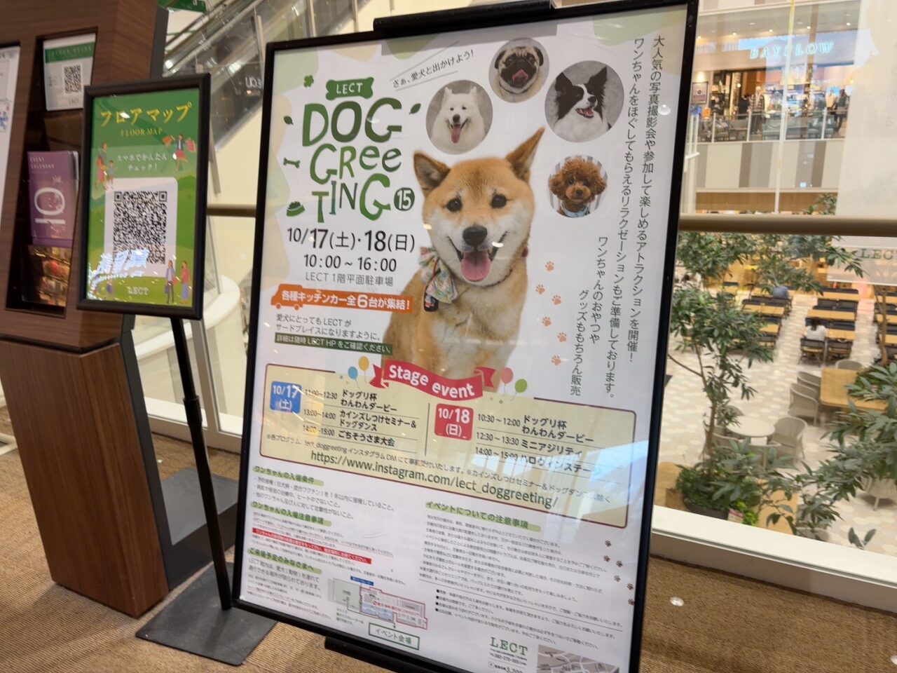広島市西区】LECTで「DOG GReeTING vol.15」10月17日・18日に開催