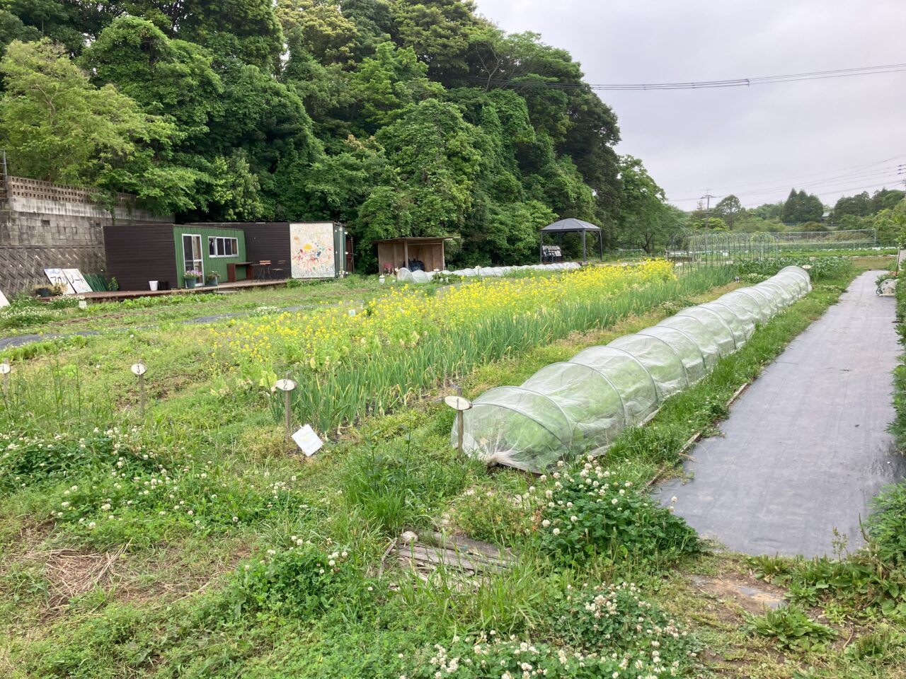 2025年に若松区のアグリゾート農園で「2025春の農ふぇす」が開催
