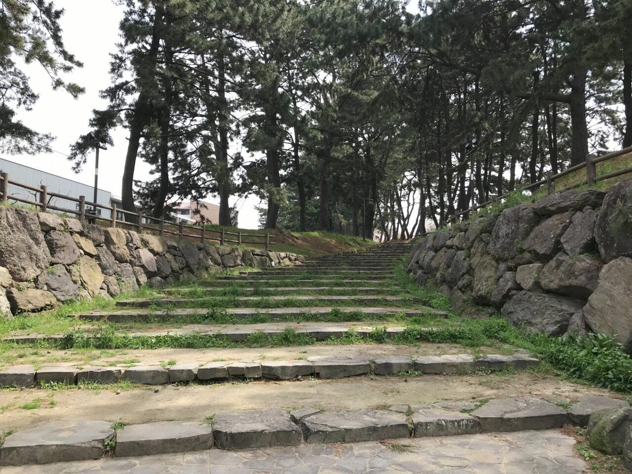 2025年に八幡西区で「黒崎宿場夜市」が開催