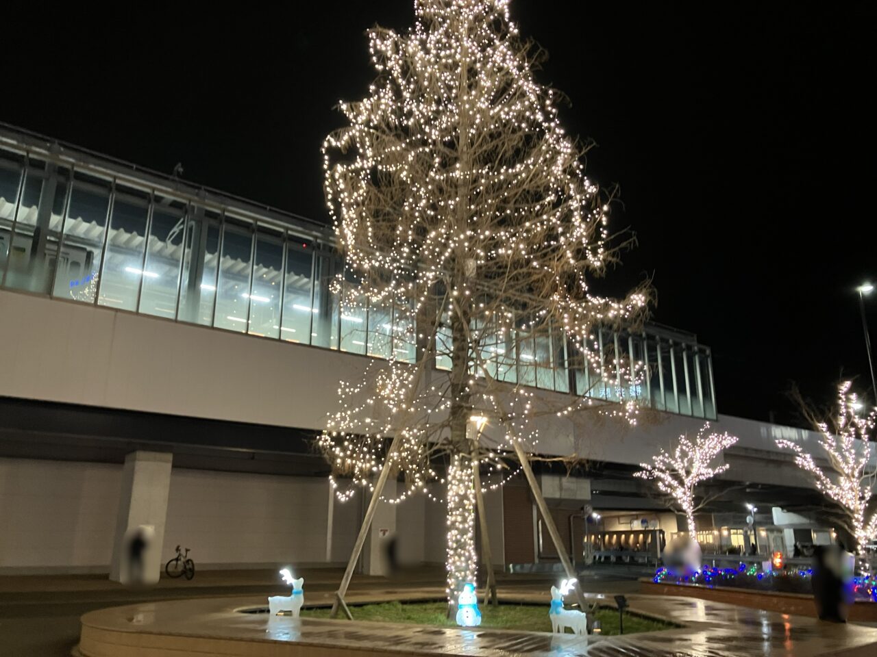 2025年に八幡西区の「折尾イルミネーション」が開催