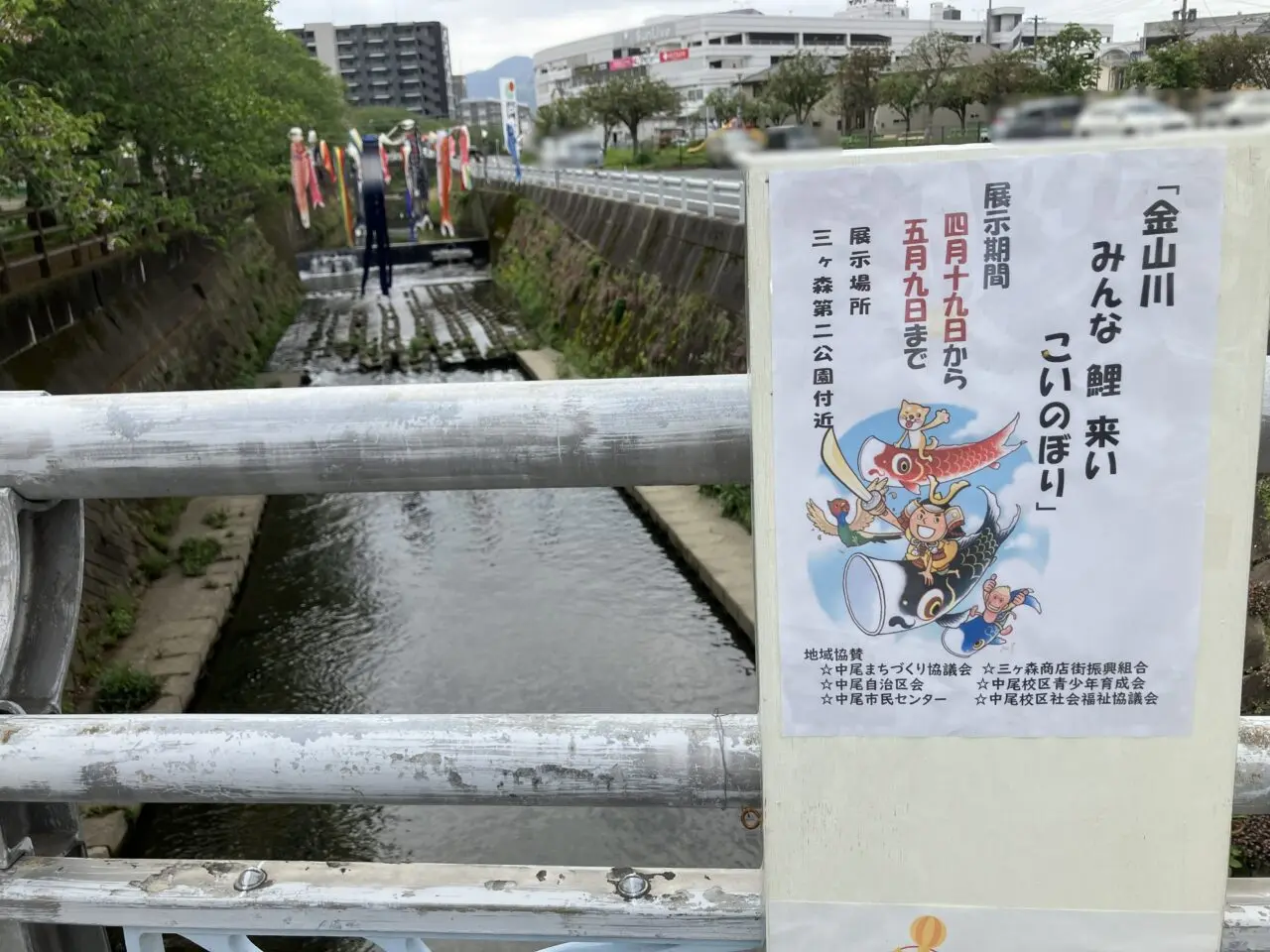 2026年に八幡西区の金山川に鯉のぼり
