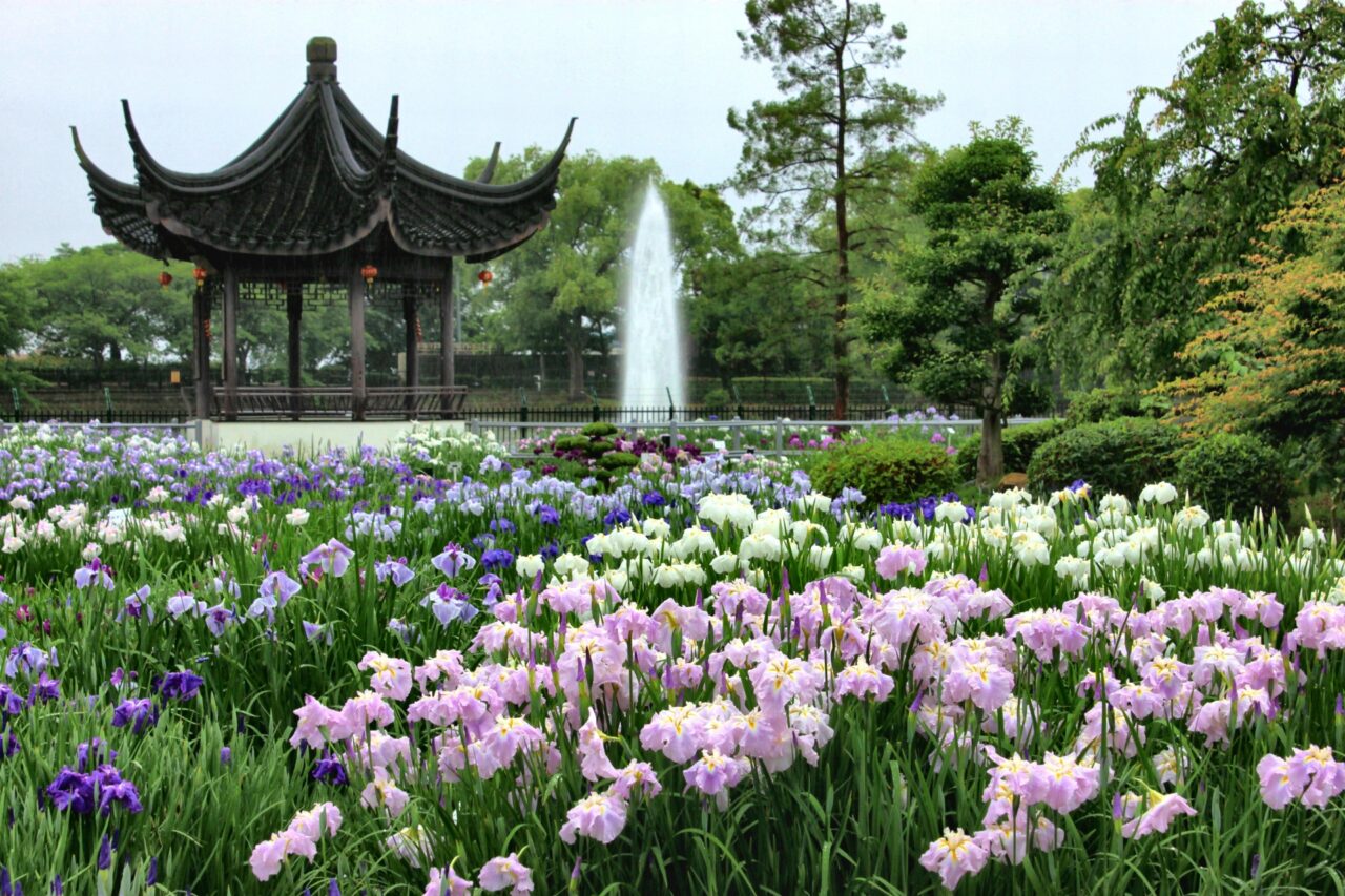 水月公園