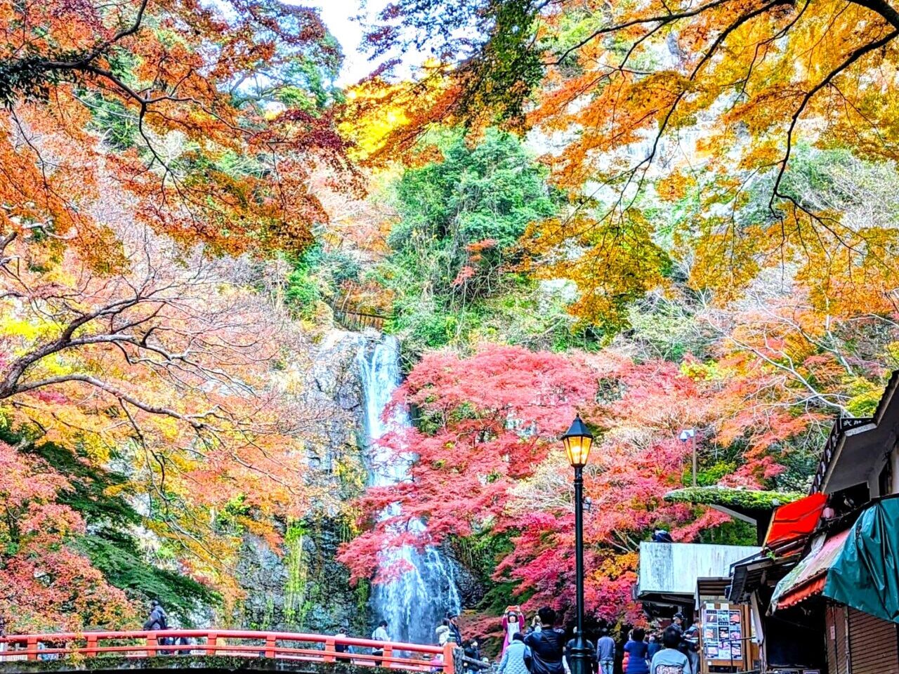 紅葉の箕面大滝