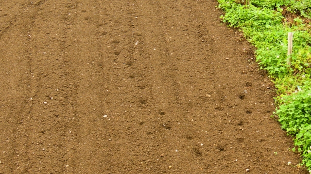 獣の足跡のイメージ