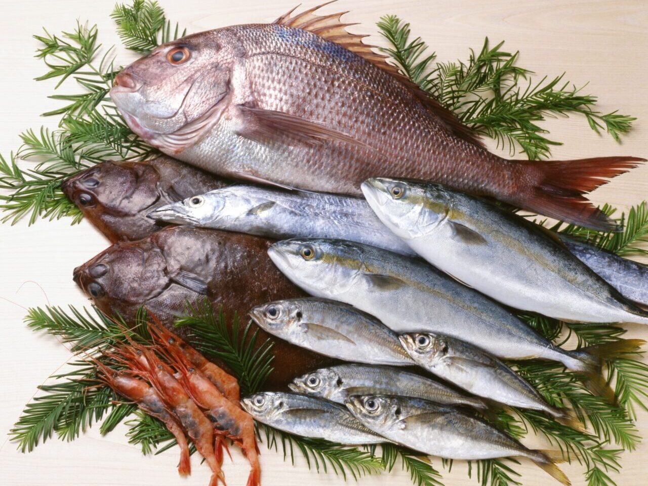 鮮魚のイメージ
