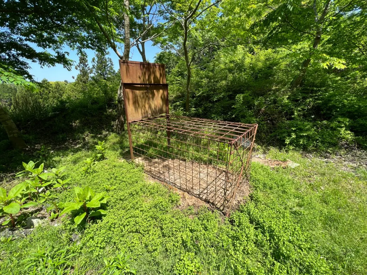 害獣駆除のイメージ