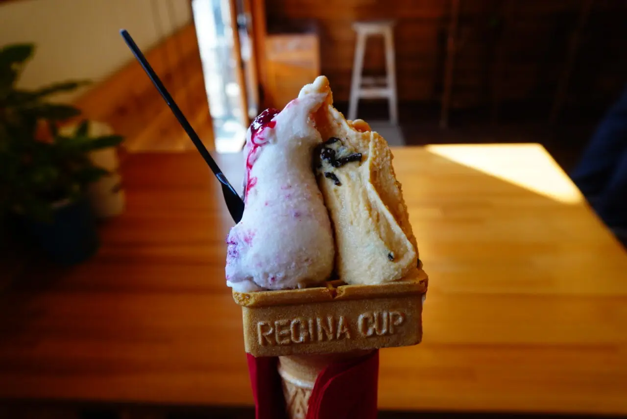 箕面市桜井2026年1月Geratelia893