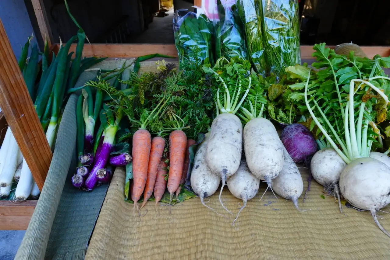 箕面市半町2026年2月スケロク