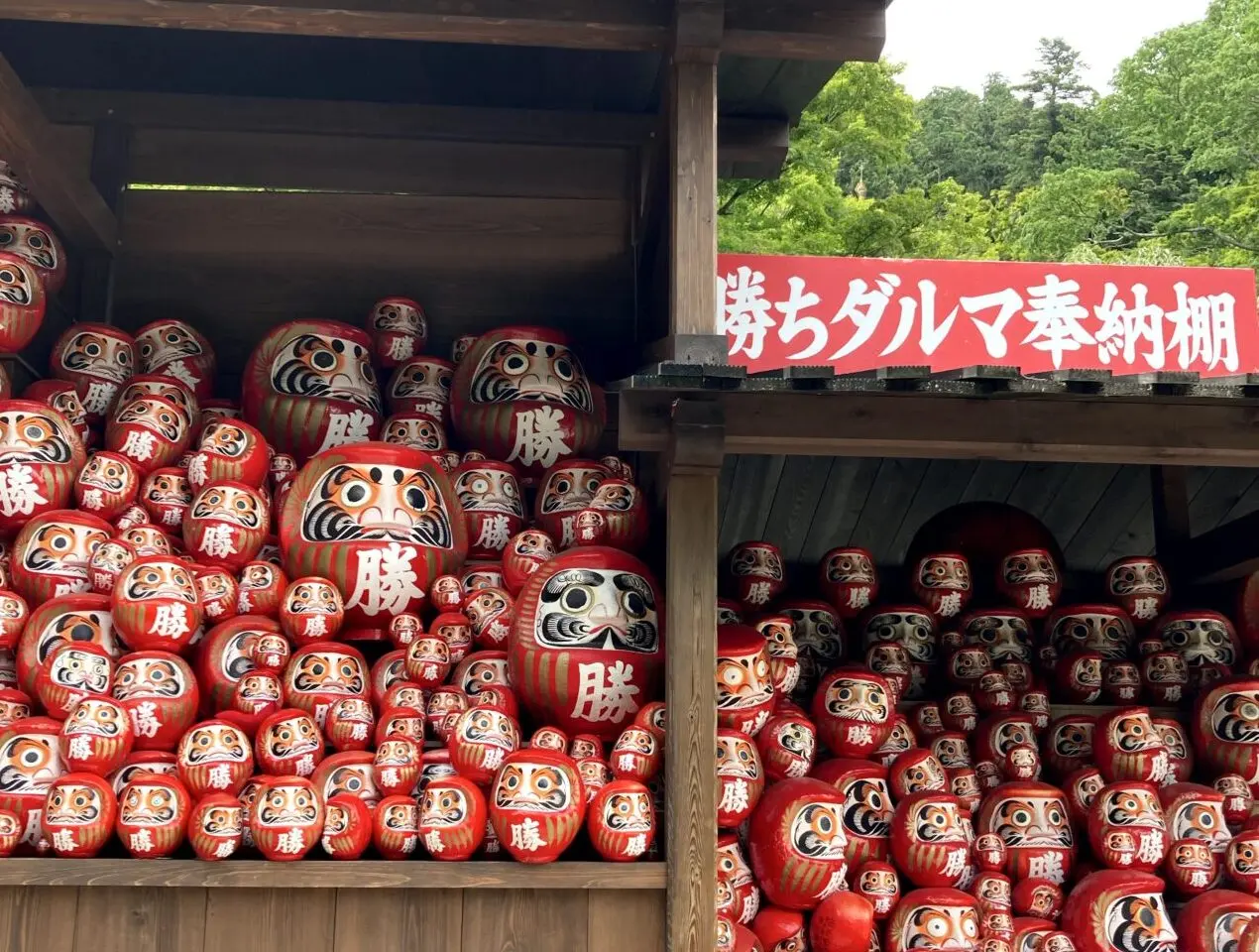 勝尾寺だるま奉納棚2026年4月