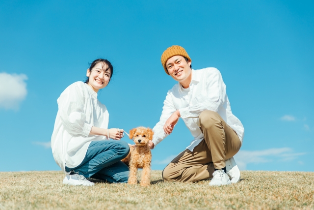 みのおわんわんモール2026年6月