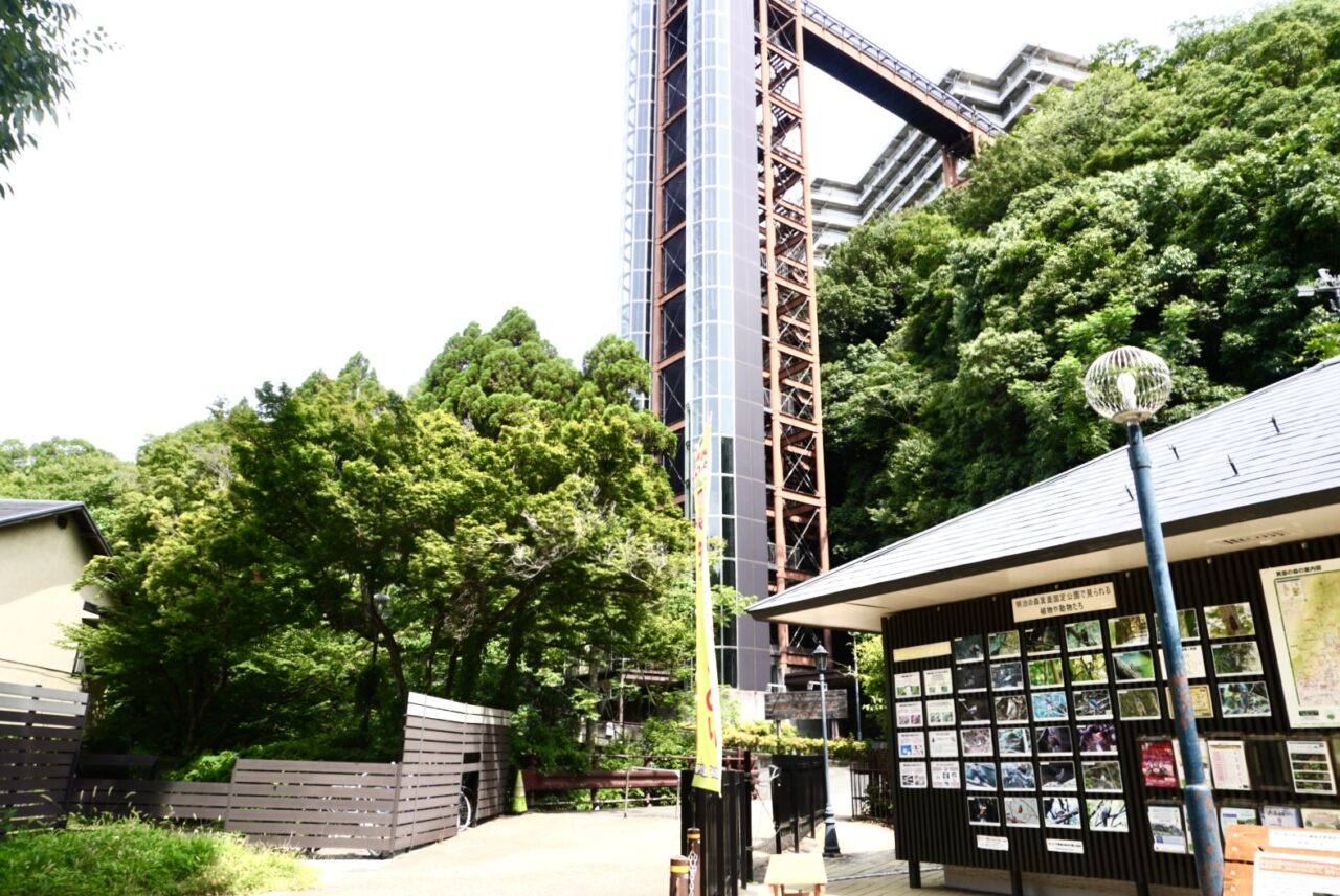 大江戸温泉物語箕面温泉スパーガーデン2026年8月