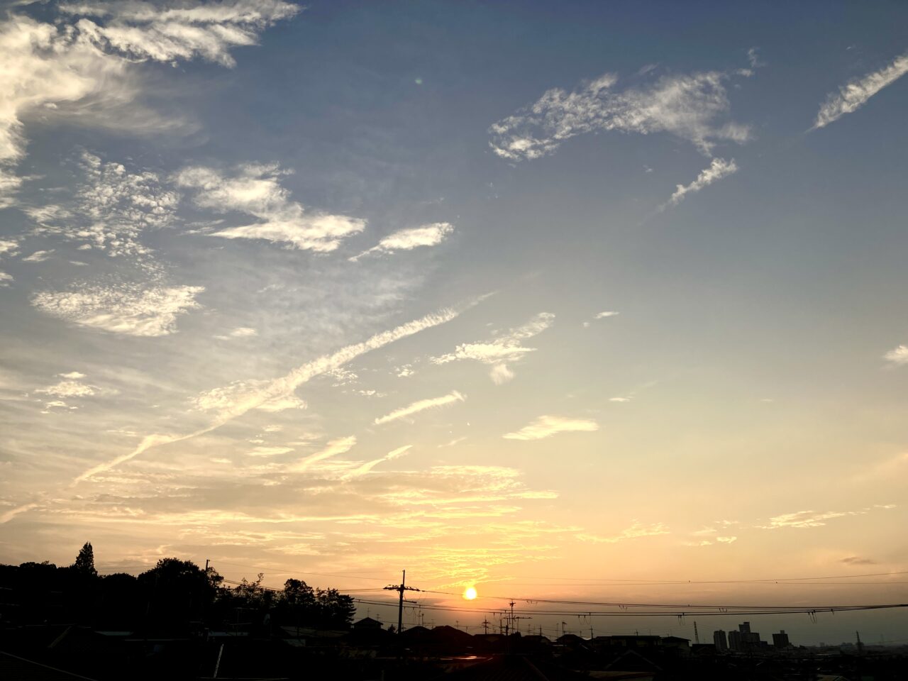 天体観望会星を見てから帰ろ2026年8月