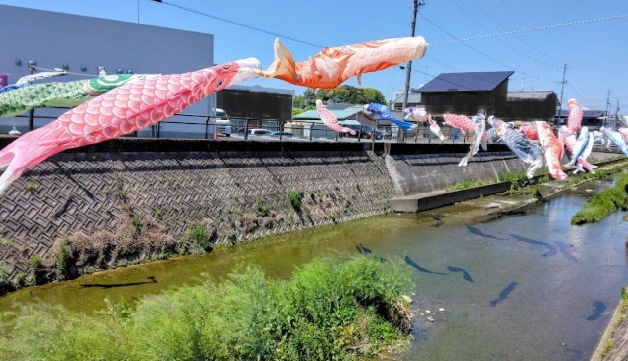 磐田市見付今之浦川こいのぼり