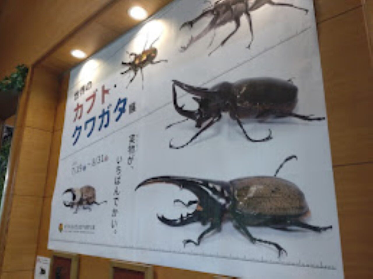 磐田市竜洋昆虫自然観察公園
