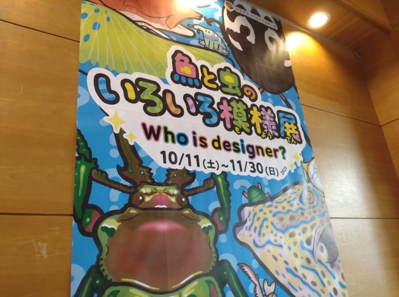 磐田市竜洋昆虫自然観察公園浜松市の水族館とのコラボイベント魚と虫のいろいろ模様展