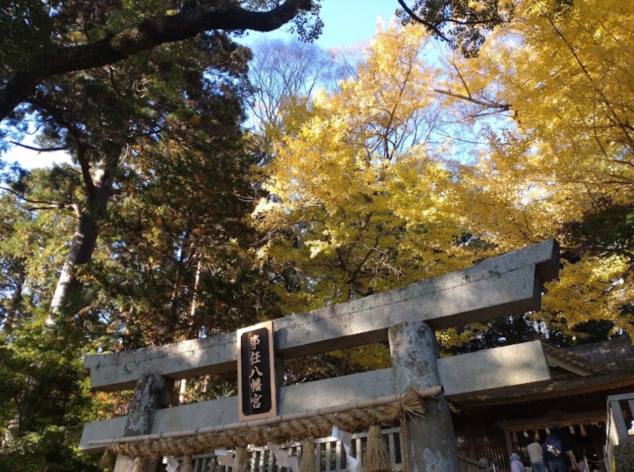 事任八幡宮掛川市紅葉