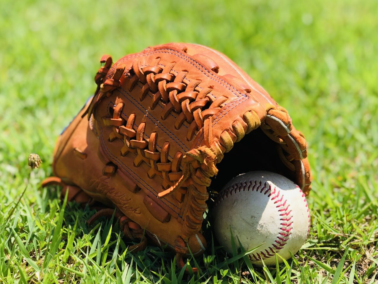 もっとみんなでやきゅうしようよイン姫路2026