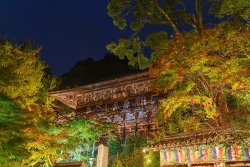 ライトアップした摩尼殿