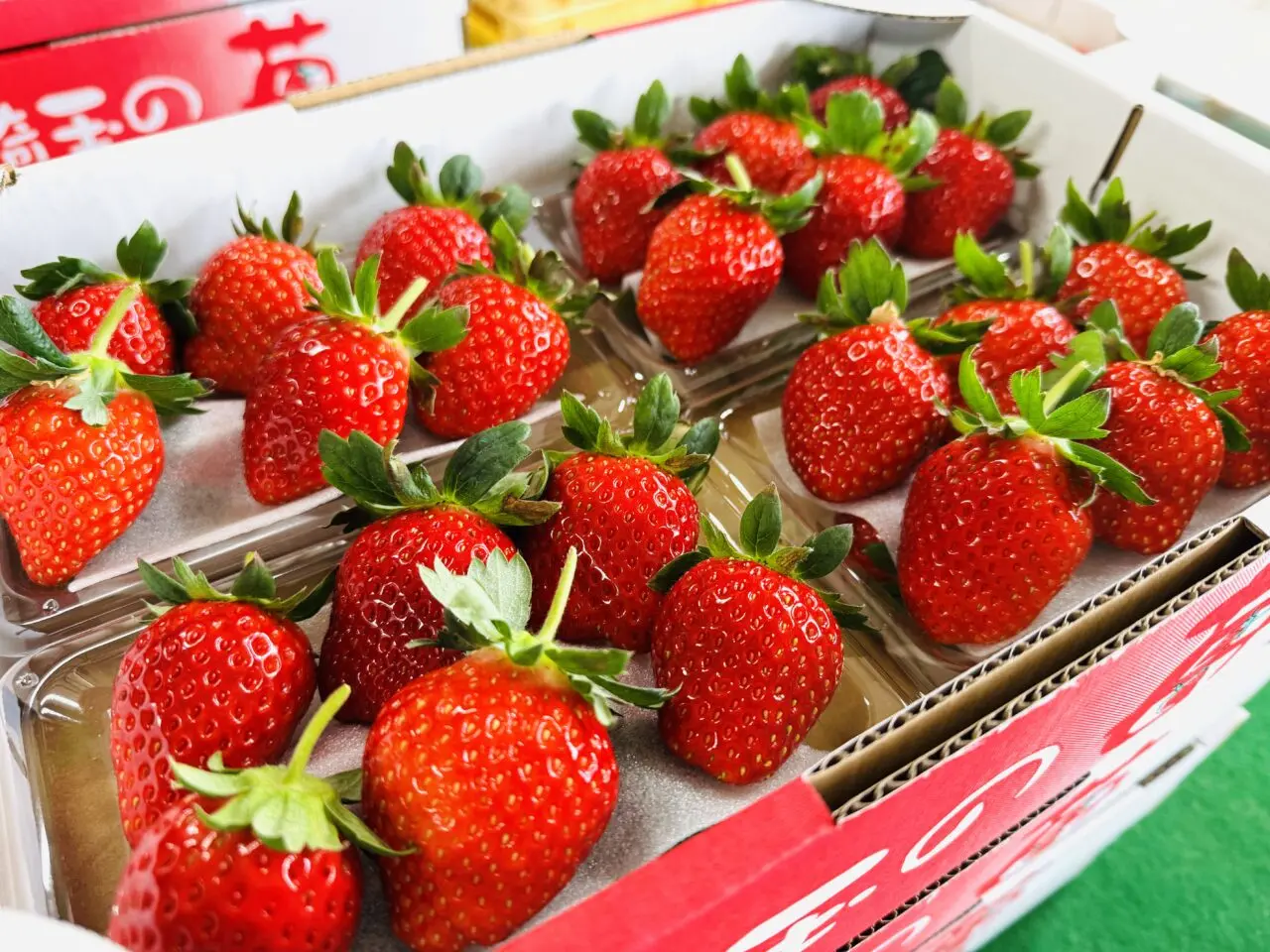 久喜市のいちご狩りむさしのふぁーむではべにたまも食べ放題！あまりんの直売もある