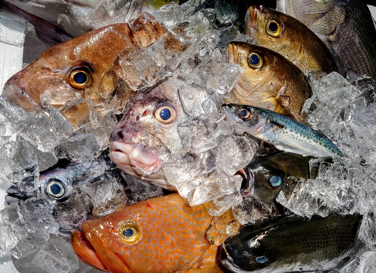 エムズタウン幸手、マルエツ幸手上高野店にお魚シャトルがやってきます