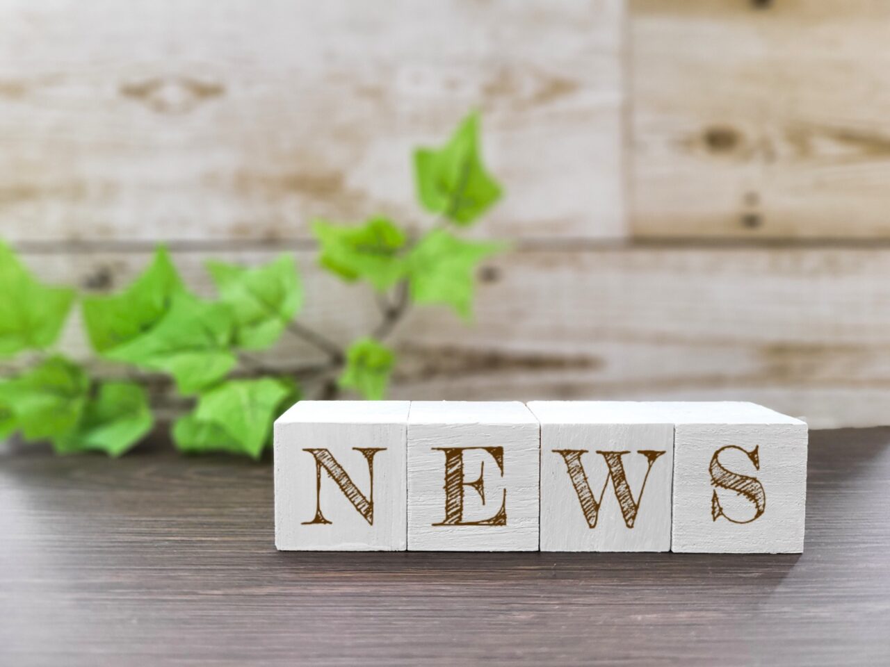 NEWSの木のブロック