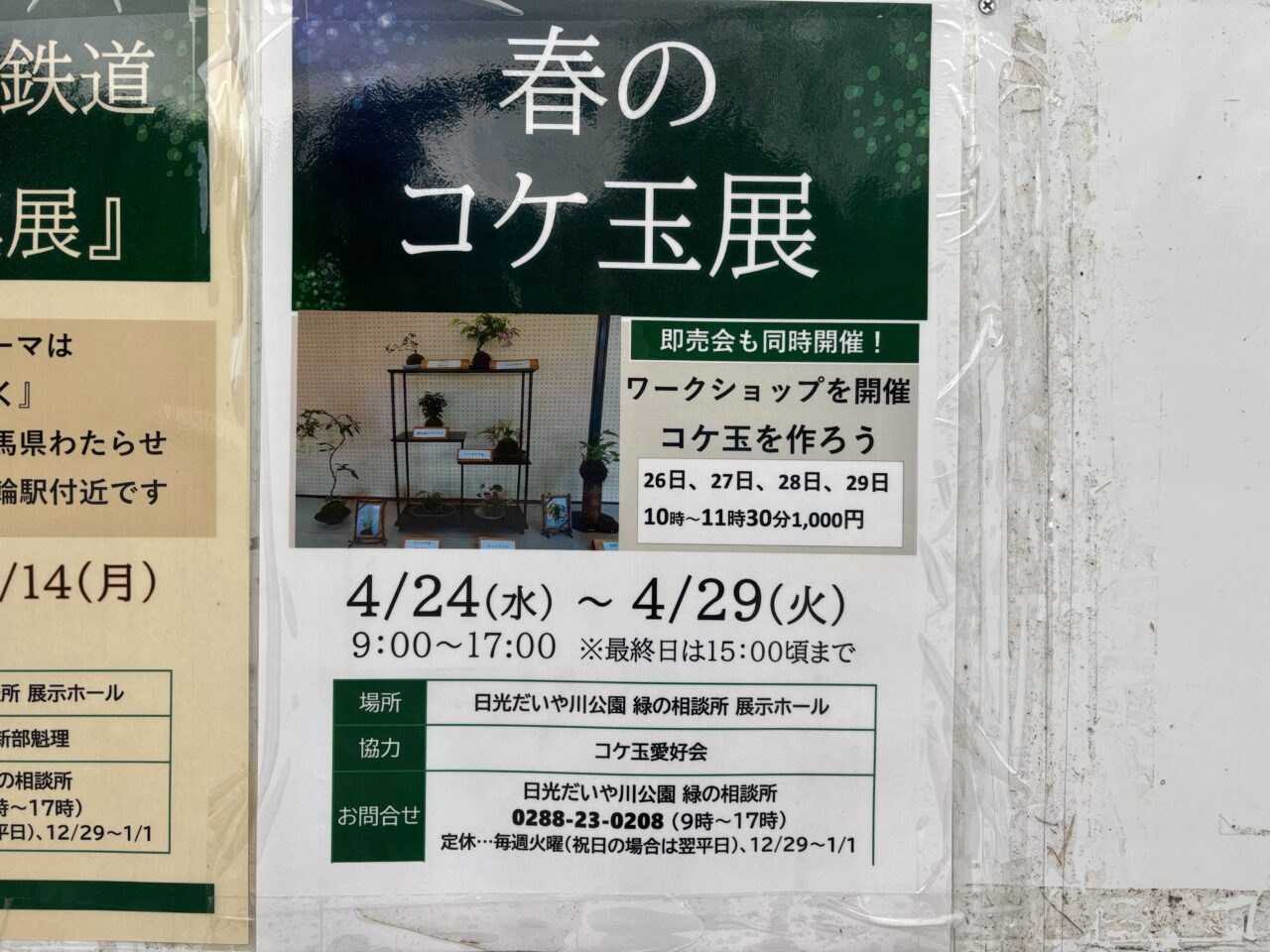 春のコケ玉展ポスター