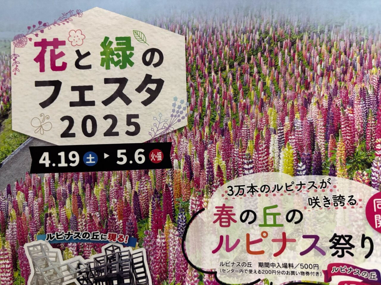 花と緑のフェスタ2025