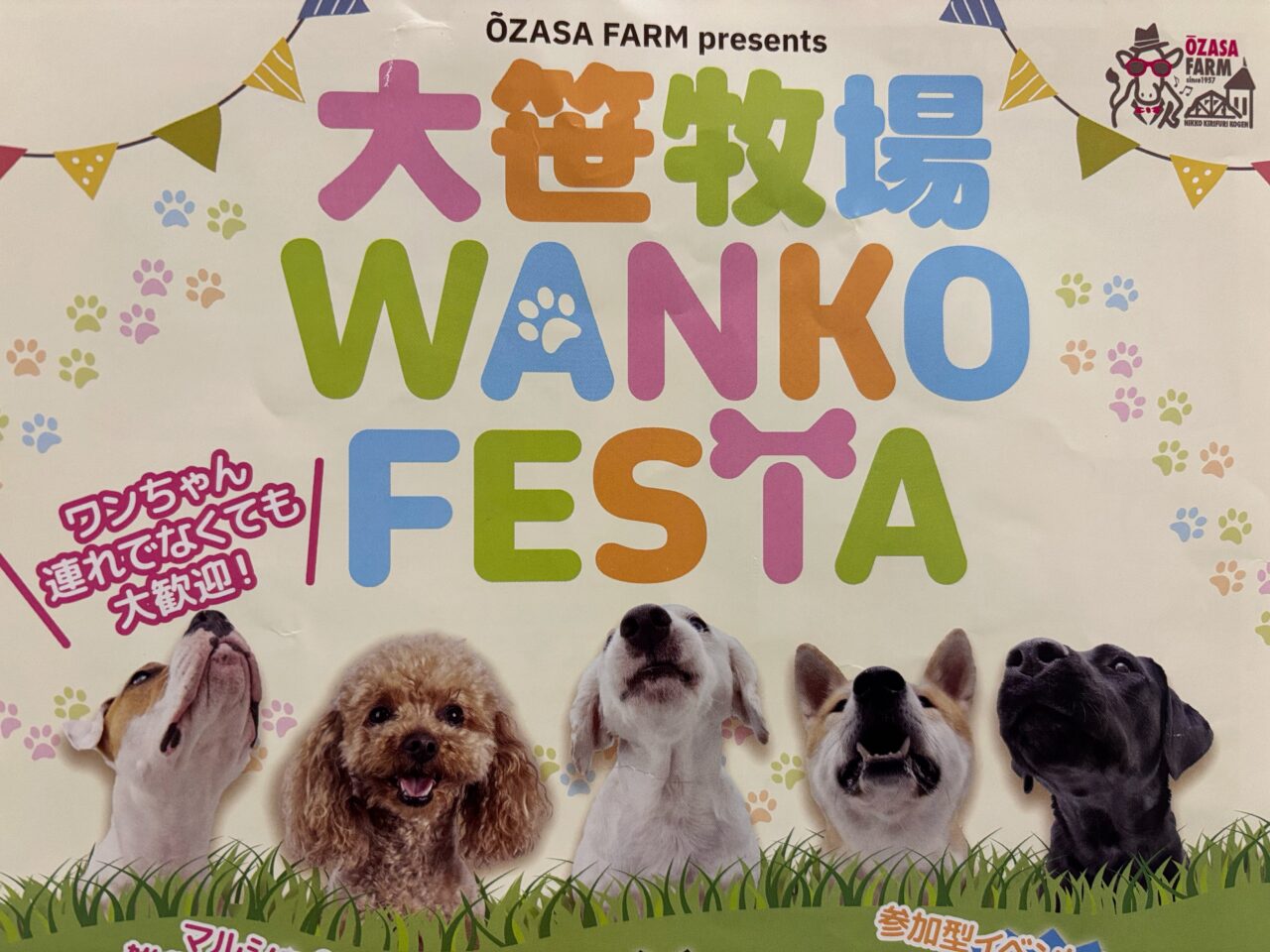 大笹牧場　WANKO FESTA
